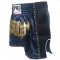 Lumpinee Retro Muay Thai Shorts : LUMRTO-003 Navy